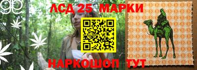 mdpv Донецк