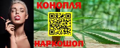 эйфоретик Донской