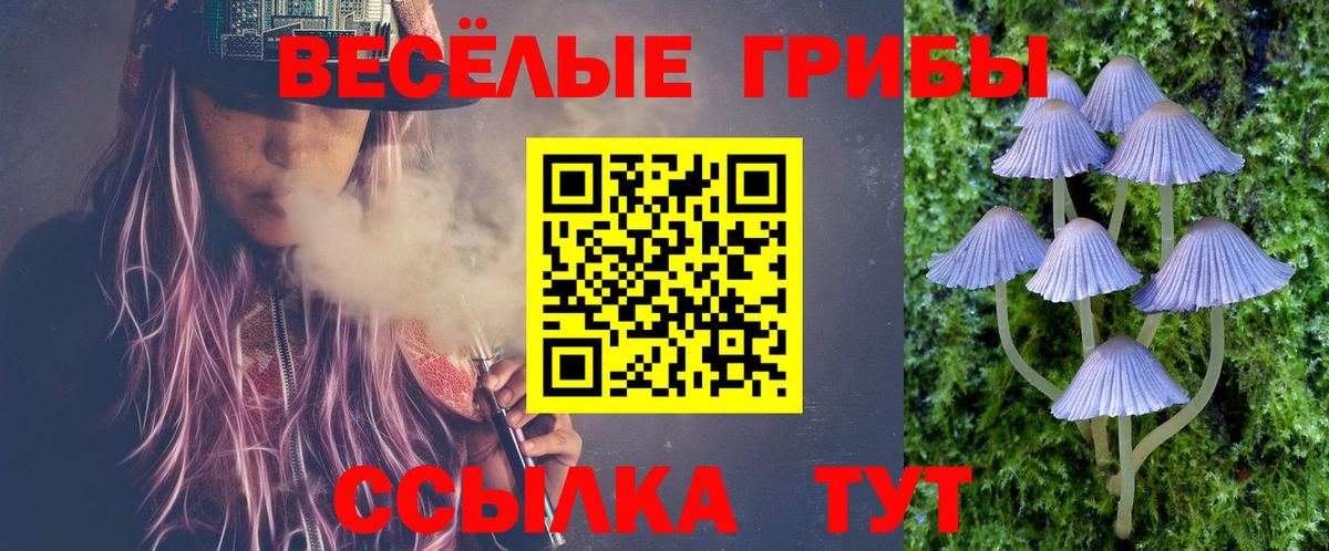 Ликино-Дулёво  Псилоцибиновые грибы MAGIC MUSHROOMS  Вход с VPN 