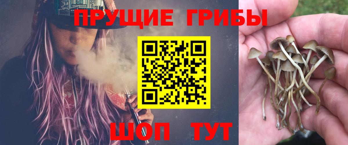 Галлюциногенные грибы ЛСД Ликино-Дулёво